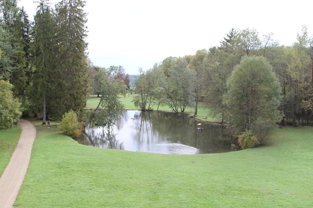 Chateau Du Breuil Bed & Breakfast Gevrolles Rom bilde